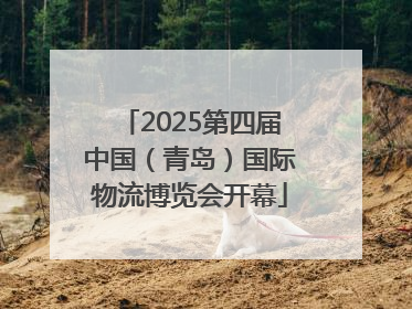 2025第四届中国（青岛）国际物流博览会开幕