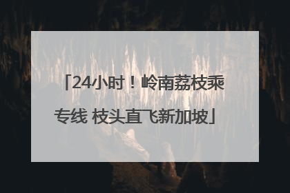 24小时！岭南荔枝乘专线 枝头直飞新加坡