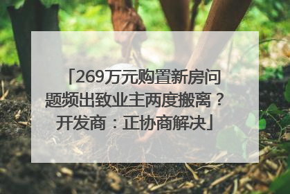 269万元购置新房问题频出致业主两度搬离？开发商：正协商解决