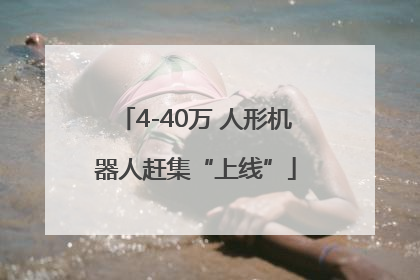 4-40万 人形机器人赶集“上线”