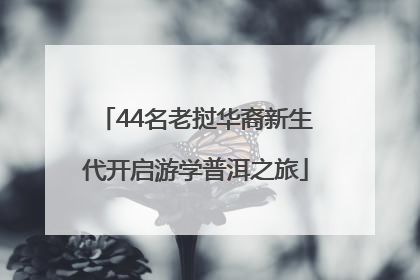 44名老挝华裔新生代开启游学普洱之旅