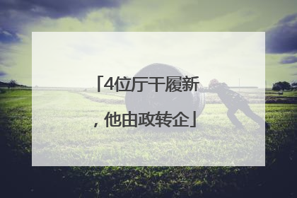 4位厅干履新，他由政转企