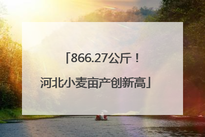 866.27公斤！河北小麦亩产创新高