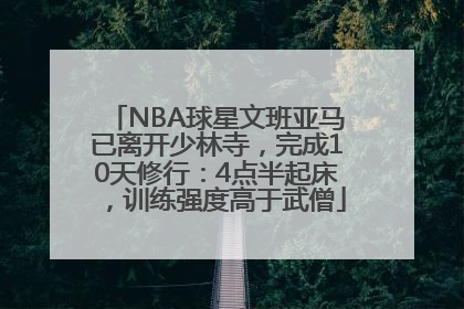NBA球星文班亚马已离开少林寺，完成10天修行：4点半起床，训练强度高于武僧