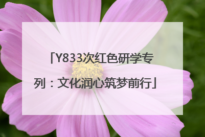 Y833次红色研学专列：文化润心筑梦前行